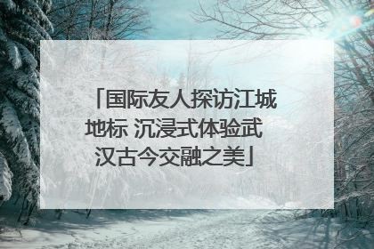 国际友人探访江城地标 沉浸式体验武汉古今交融之美