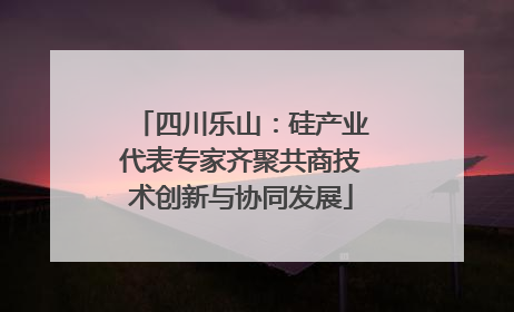 四川乐山：硅产业代表专家齐聚共商技术创新与协同发展