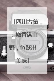 四川古蔺：椒香满山野，鱼跃出美味