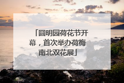 圆明园荷花节开幕，首次举办荷梅南北双花展