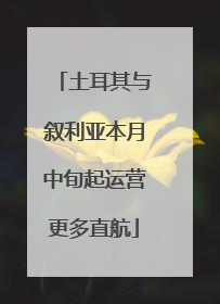 土耳其与叙利亚本月中旬起运营更多直航