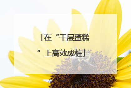 在“千层蛋糕”上高效成桩