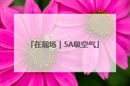 在现场｜5A级空气