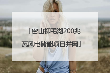 密山柳毛湖200兆瓦风电储能项目并网