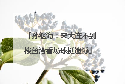 孙继海：来大连不到梭鱼湾看场球挺遗憾