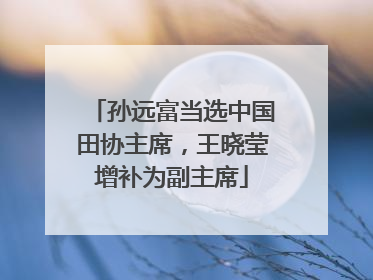 孙远富当选中国田协主席，王晓莹增补为副主席