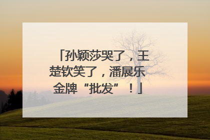 孙颖莎哭了，王楚钦笑了，潘展乐金牌“批发”！