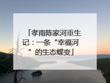 孝南陈家河重生记：一条“幸福河”的生态蝶变