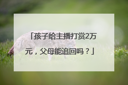 孩子给主播打赏2万元，父母能追回吗？