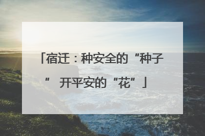 宿迁：种安全的“种子” 开平安的“花”