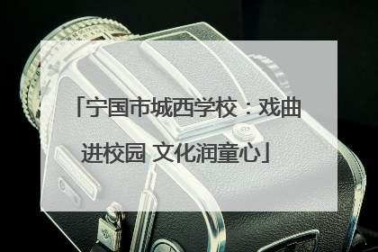 宁国市城西学校：戏曲进校园 文化润童心