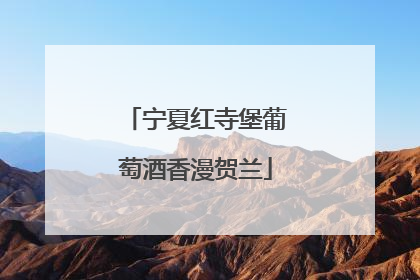宁夏红寺堡葡萄酒香漫贺兰