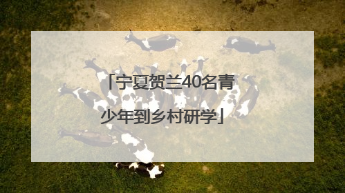 宁夏贺兰40名青少年到乡村研学