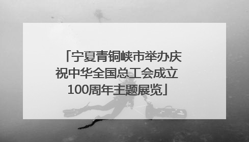 宁夏青铜峡市举办庆祝中华全国总工会成立100周年主题展览