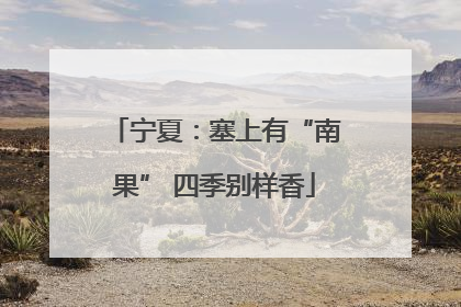宁夏：塞上有“南果” 四季别样香
