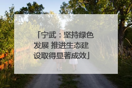 宁武：坚持绿色发展 推进生态建设取得显著成效