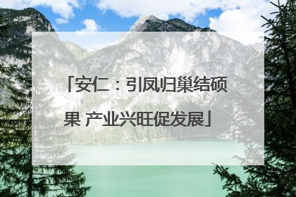 安仁：引凤归巢结硕果 产业兴旺促发展