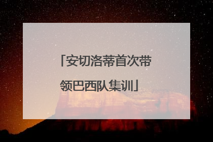 安切洛蒂首次带领巴西队集训