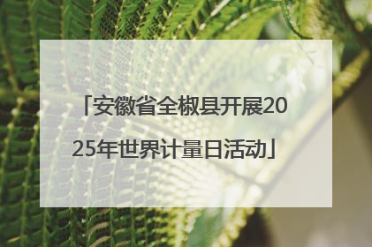 安徽省全椒县开展2025年世界计量日活动