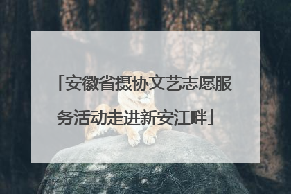 安徽省摄协文艺志愿服务活动走进新安江畔