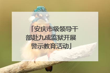 安庆市级领导干部赴九成监狱开展警示教育活动