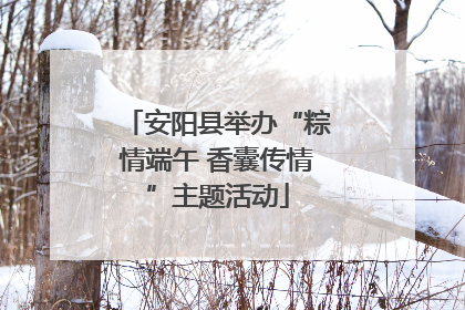 安阳县举办“粽情端午 香囊传情”主题活动