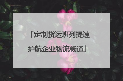 定制货运班列提速 护航企业物流畅通