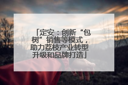 定安：创新“包树”销售等模式，助力荔枝产业转型升级和品牌打造