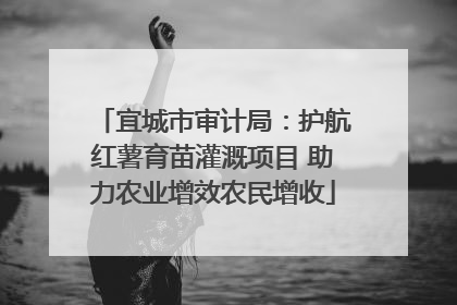 宜城市审计局：护航红薯育苗灌溉项目 助力农业增效农民增收
