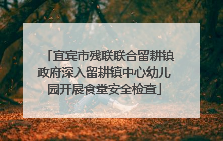 宜宾市残联联合留耕镇政府深入留耕镇中心幼儿园开展食堂安全检查