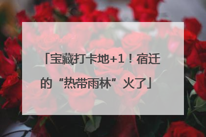 宝藏打卡地+1！宿迁的“热带雨林”火了