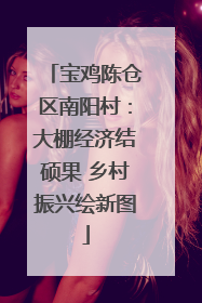 宝鸡陈仓区南阳村：大棚经济结硕果 乡村振兴绘新图
