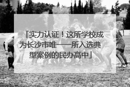 实力认证！这所学校成为长沙市唯一一所入选典型案例的民办高中