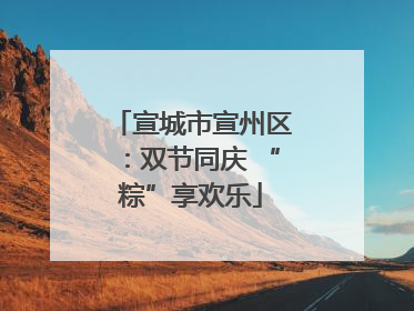 宣城市宣州区：双节同庆 “粽”享欢乐