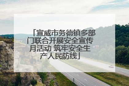 宣威市务德镇多部门联合开展安全宣传月活动 筑牢安全生产人民防线