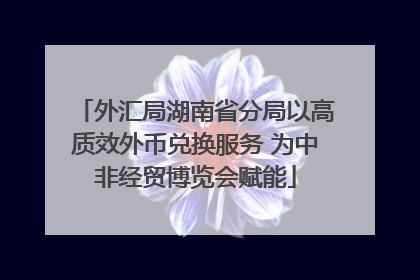 外汇局湖南省分局以高质效外币兑换服务 为中非经贸博览会赋能
