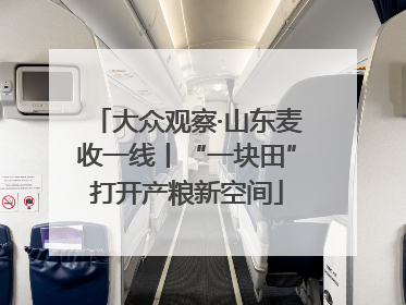 大众观察·山东麦收一线丨“一块田”打开产粮新空间