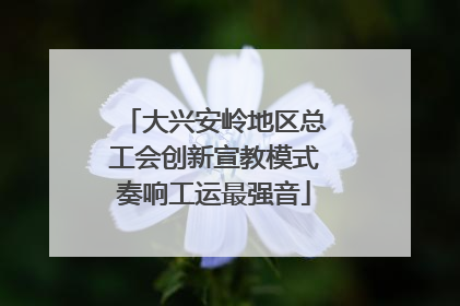 大兴安岭地区总工会创新宣教模式奏响工运最强音