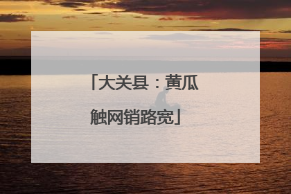 大关县：黄瓜触网销路宽