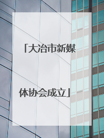 大冶市新媒体协会成立
