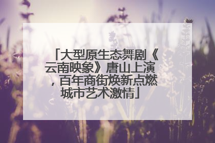 大型原生态舞剧《云南映象》唐山上演，百年商街焕新点燃城市艺术激情