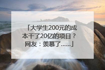 大学生200元的成本干了20亿的项目？网友：羡慕了……