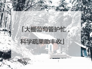 大棚葡萄管护忙，科学疏果助丰收
