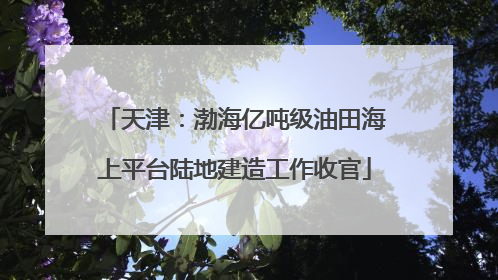 天津：渤海亿吨级油田海上平台陆地建造工作收官