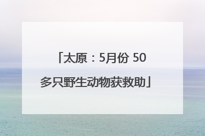 太原：5月份 50多只野生动物获救助