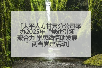 太平人寿甘肃分公司举办2025年“党建引领聚合力 学思践悟助发展”两当党建活动