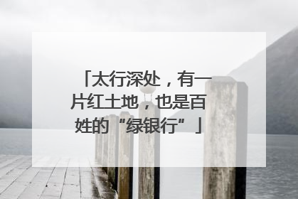 太行深处，有一片红土地，也是百姓的“绿银行”