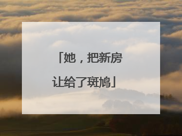 她，把新房让给了斑鸠