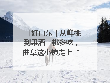 好山东｜从鲜桃到果酒一桃多吃，曲阜这小镇走上“桃”金路