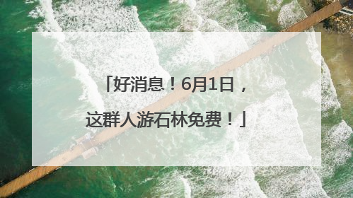 好消息！6月1日，这群人游石林免费！